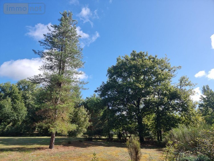 propriete a vendre Pruniers-en-Sologne 41200 Loir-et-Cher 142 m2 6 pièces 389980 euros