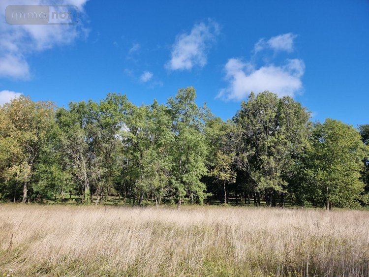 propriete a vendre Pruniers-en-Sologne 41200 Loir-et-Cher 142 m2 6 pièces 389980 euros