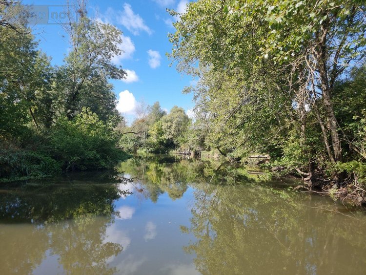 propriete a vendre Pruniers-en-Sologne 41200 Loir-et-Cher 142 m2 6 pièces 389980 euros