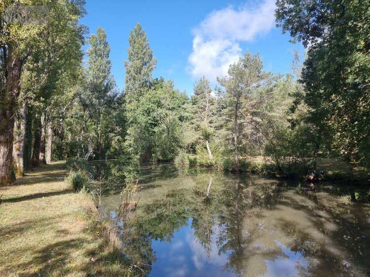 propriete a vendre Pruniers-en-Sologne 41200 Loir-et-Cher 142 m2 6 pièces 389980 euros