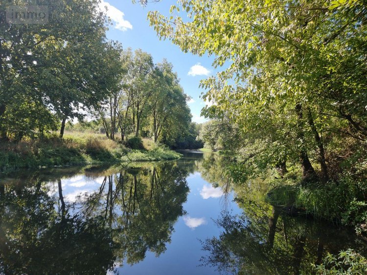 propriete a vendre Pruniers-en-Sologne 41200 Loir-et-Cher 142 m2 6 pièces 389980 euros