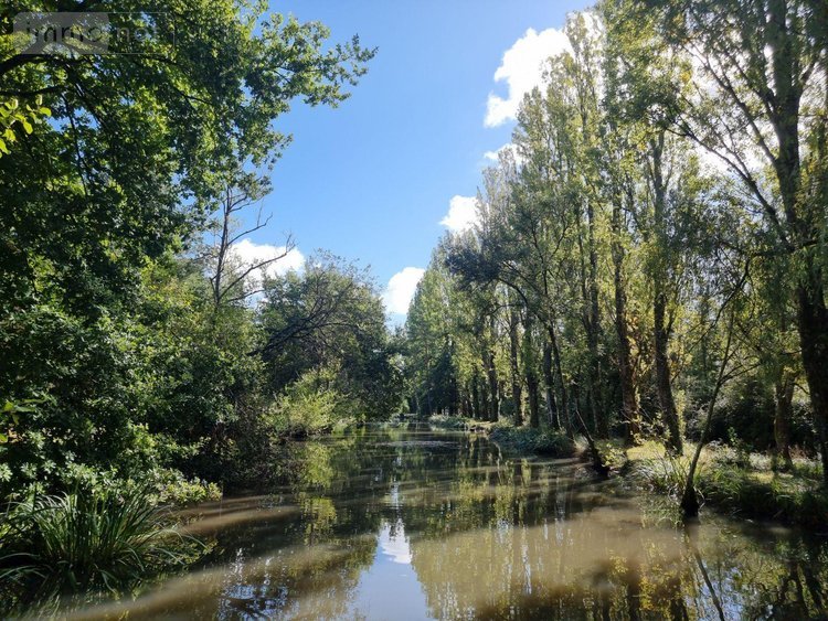 propriete a vendre Pruniers-en-Sologne 41200 Loir-et-Cher 142 m2 6 pièces 389980 euros