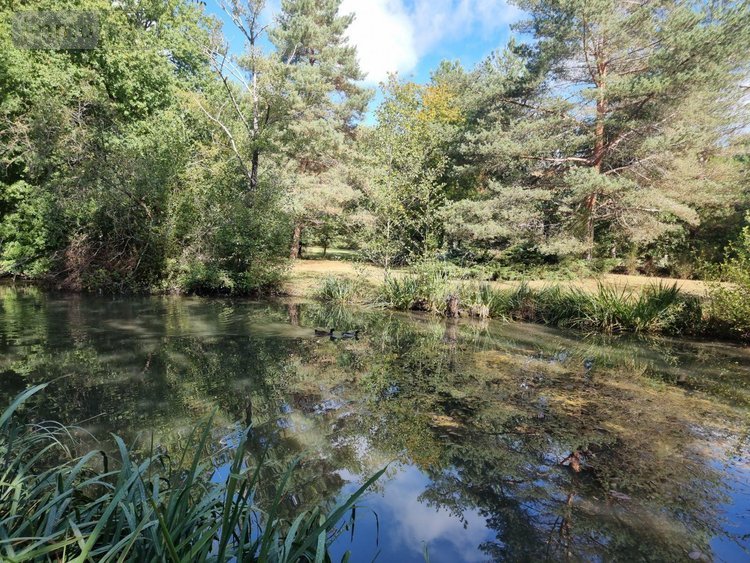 propriete a vendre Pruniers-en-Sologne 41200 Loir-et-Cher 142 m2 6 pièces 389980 euros