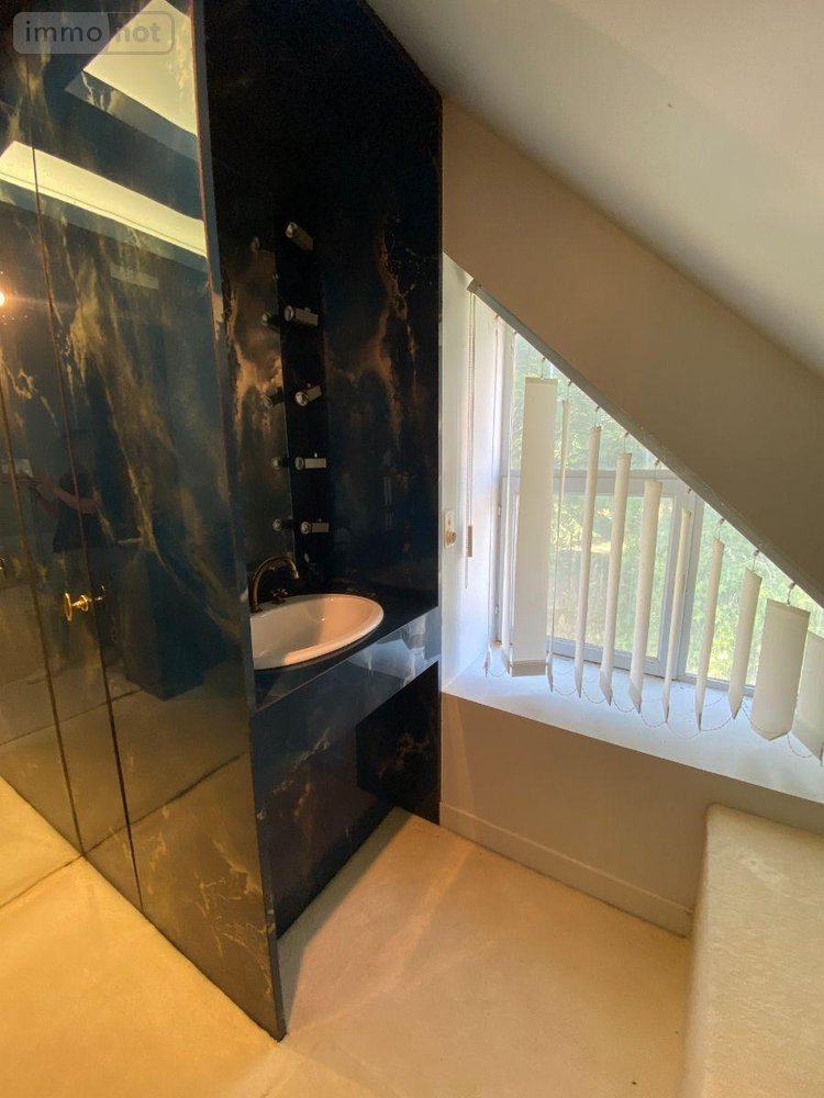 Maison a vendre Villegouin 36500 Indre 207 m2 6 pièces 340400 euros