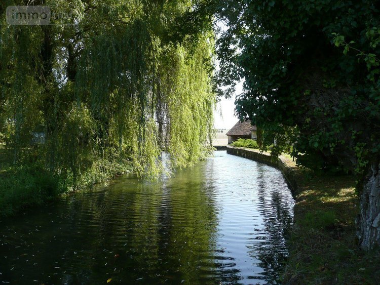 Maison a vendre Villegouin 36500 Indre 207 m2 6 pièces 340400 euros