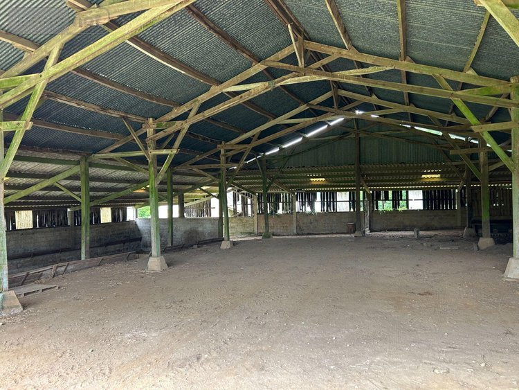 Maison a vendre Elliant 29370 Finistère 5 pièces 157200 euros