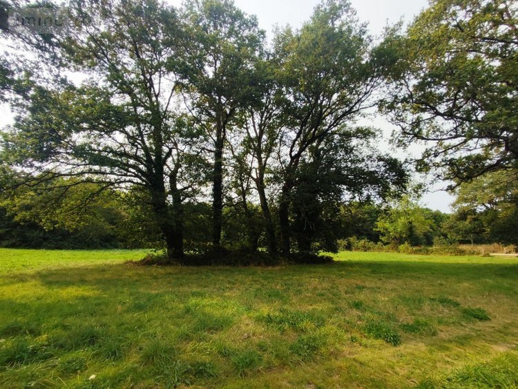 Maison a vendre Cournon 56200 Morbihan 125 m2  150000 euros