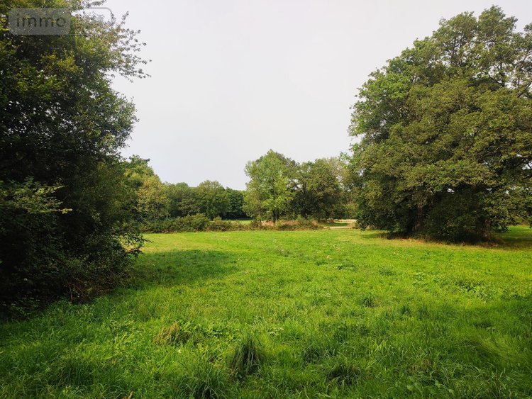 Maison a vendre Cournon 56200 Morbihan 125 m2  150000 euros