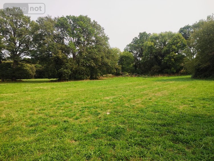 Maison a vendre Cournon 56200 Morbihan 125 m2  150000 euros