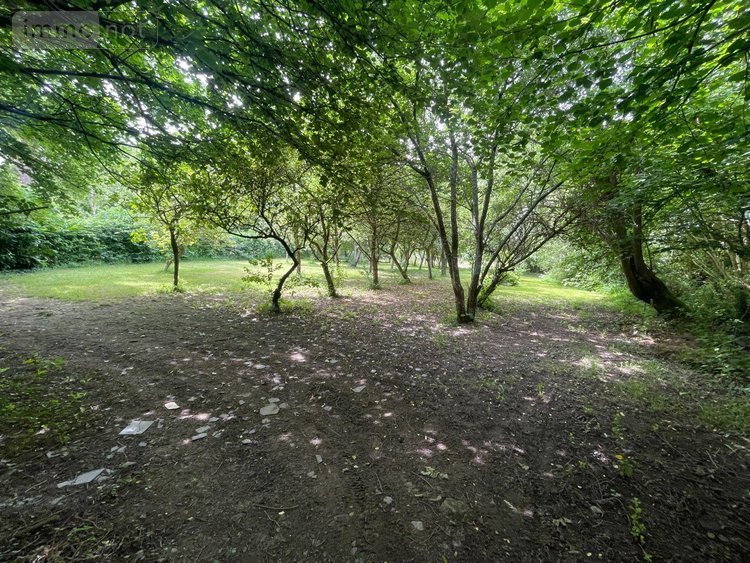 Maison a vendre Pré-en-Pail-Saint-Samson 53140 Mayenne 100 m2 5 pièces 89740 euros