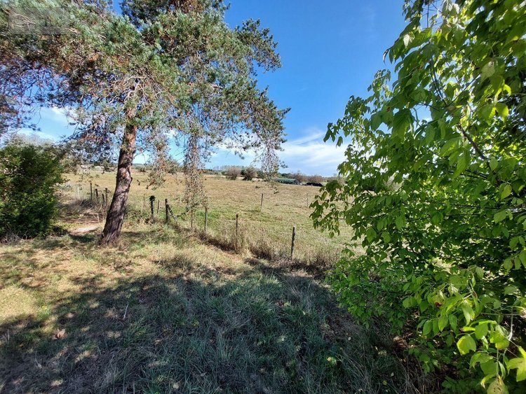 Maison a vendre Cours-de-Pile 24520 Dordogne 93 m2 7 pièces 138600 euros