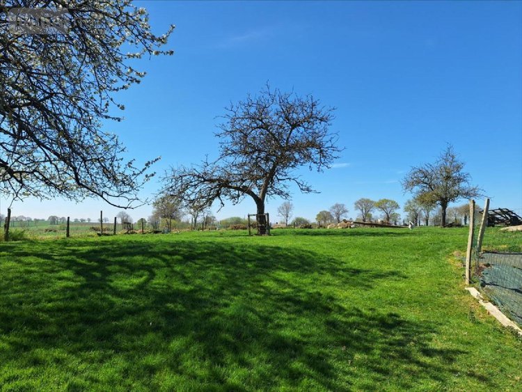 Maison a vendre Ernée 53500 Mayenne 296 m2 8 pièces 336000 euros