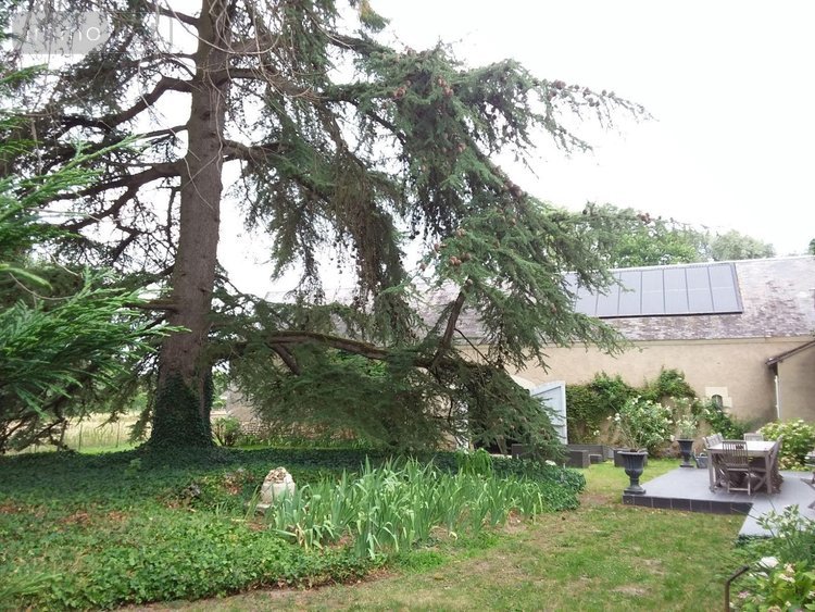 Maison a vendre Le Controis-en-Sologne 41700 Loir-et-Cher 283 m2 11 pièces 569650 euros