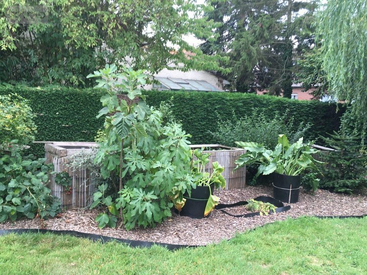 Maison a vendre Pitgam 59284 Nord 110 m2 5 pièces 279000 euros