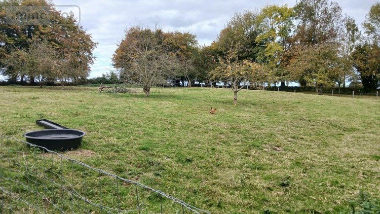 Maison a vendre Elbeuf-en-Bray 76220 Seine-Maritime 89 m2 5 pièces 146300 euros