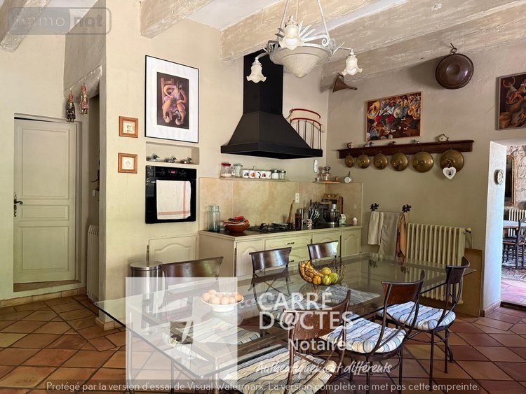 propriete a vendre Beaucaire 30300 Gard 567 m2 18 pièces 1590000 euros