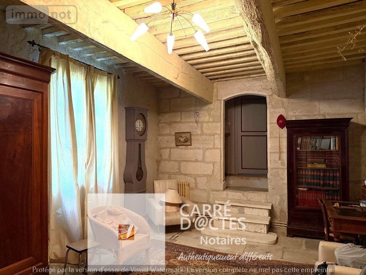 propriete a vendre Beaucaire 30300 Gard 567 m2 18 pièces 1590000 euros