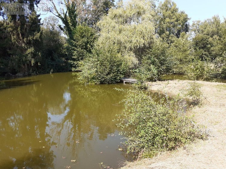 Maison a vendre Marigné-Laillé 72220 Sarthe 120 m2 4 pièces 168000 euros