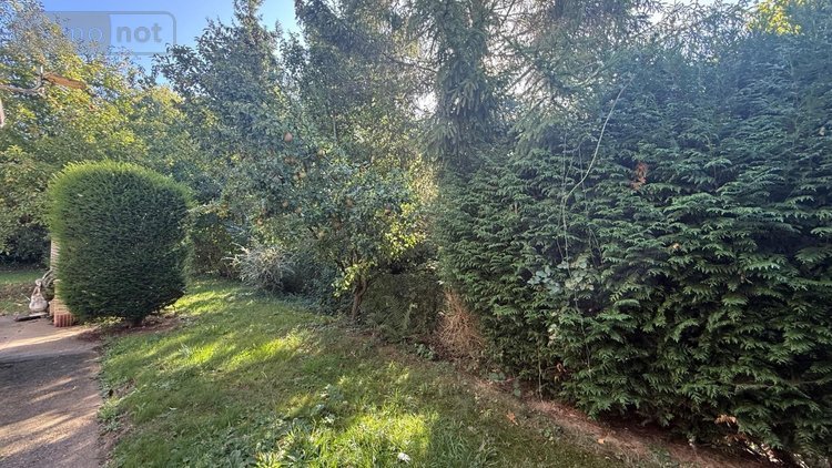 Maison a vendre Wittes 62120 Pas-de-Calais 115 m2 6 pièces 231000 euros