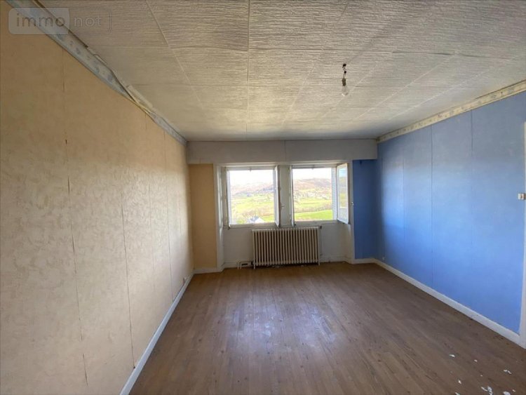 Immeuble a vendre Saint-Cernin 15310 Cantal 110 m2  48000 euros