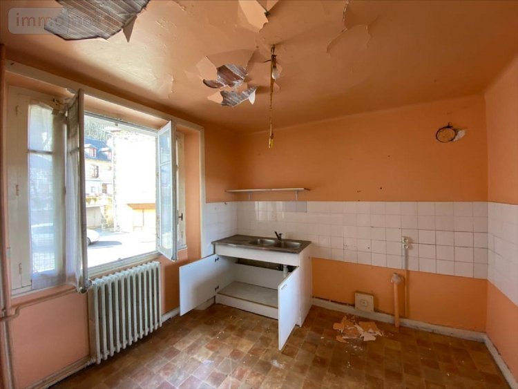 Immeuble a vendre Saint-Cernin 15310 Cantal 110 m2  48000 euros