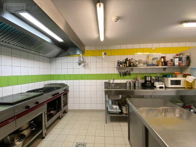 Fonds et murs commerciaux a vendre Mandailles-Saint-Julien 15590 Cantal 487 m2  653373 euros