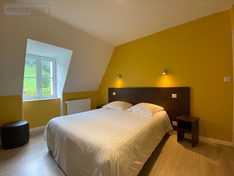 Fonds et murs commerciaux a vendre Mandailles-Saint-Julien 15590 Cantal 487 m2  653373 euros