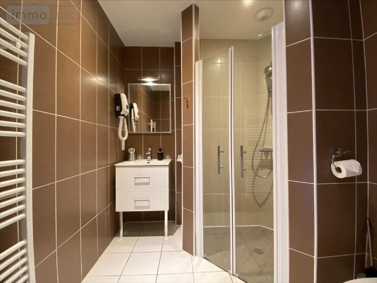 Fonds et murs commerciaux a vendre Mandailles-Saint-Julien 15590 Cantal 487 m2  653373 euros