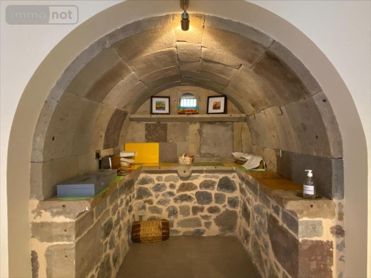 Fonds et murs commerciaux a vendre Mandailles-Saint-Julien 15590 Cantal 487 m2  653373 euros