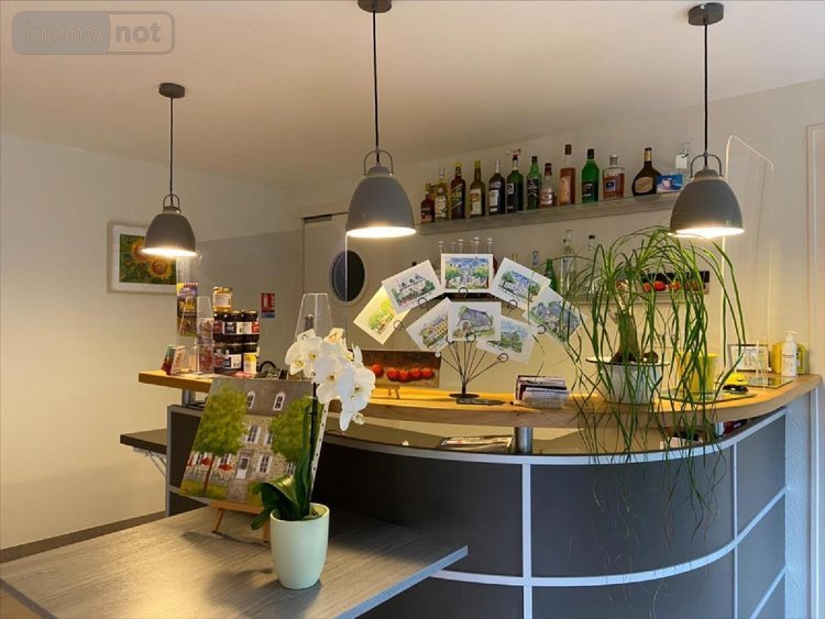 Fonds et murs commerciaux a vendre Mandailles-Saint-Julien 15590 Cantal 487 m2  653373 euros