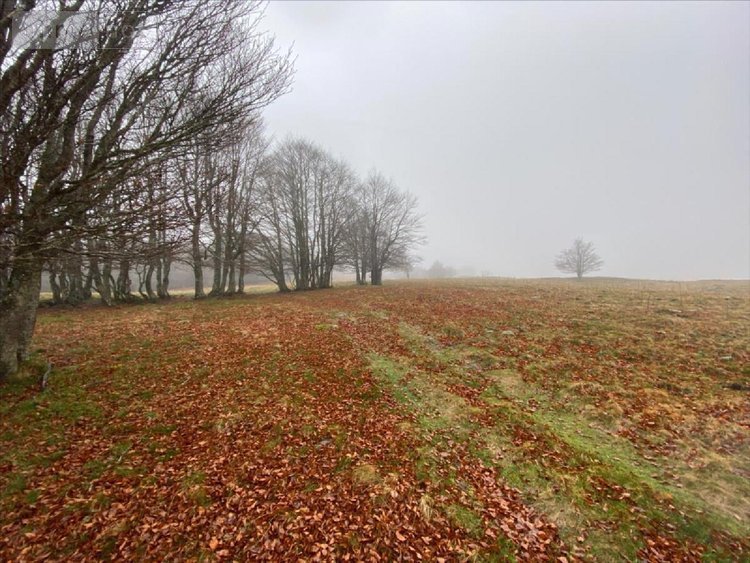 Bien agricole a vendre Collandres 15400 Cantal  777000 euros