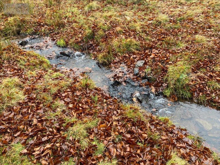 Bien agricole a vendre Collandres 15400 Cantal  777000 euros