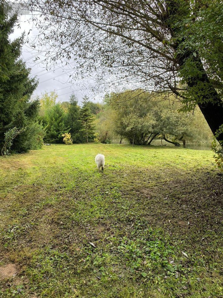 Terrains de loisirs bois etangs a vendre Chappes 10260 Aube 3330 m2  23500 euros
