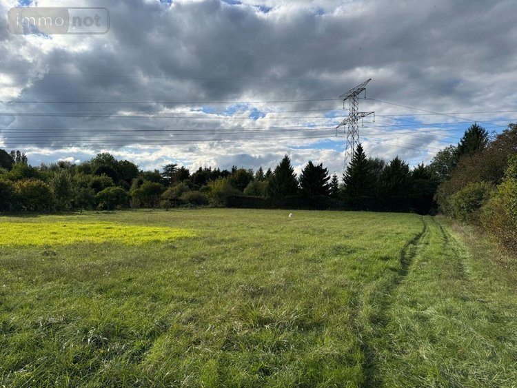 Terrains de loisirs bois etangs a vendre Chappes 10260 Aube 3330 m2  23500 euros