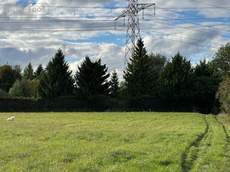 Terrains de loisirs bois etangs a vendre Chappes 10260 Aube 3330 m2  23500 euros