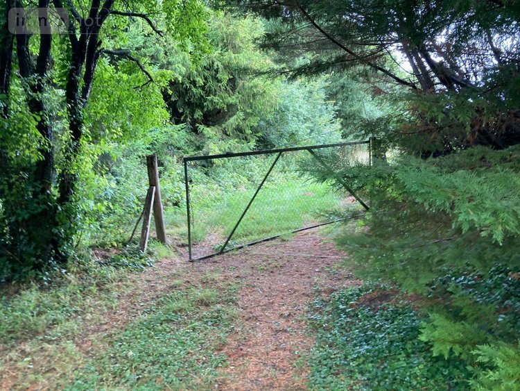 Terrains de loisirs bois etangs a vendre Chappes 10260 Aube 3330 m2  20000 euros