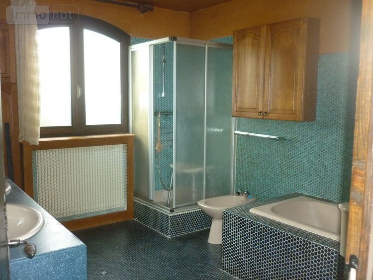 Maison a vendre Issoire 63500 Puy-de-Dôme 186 m2 9 pièces 269100 euros