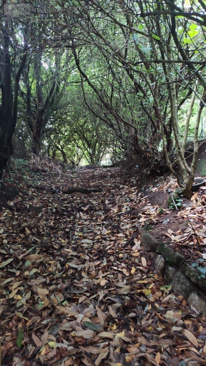 Maison a vendre Melrand 56310 Morbihan 95 m2 5 pièces 97590 euros