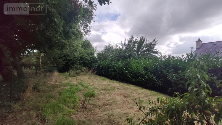 Maison a vendre Melrand 56310 Morbihan 95 m2 5 pièces 97590 euros