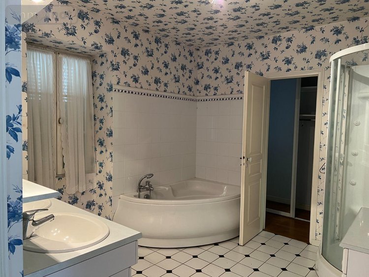 propriete a vendre Niherne 36250 Indre 246 m2 6 pièces 415000 euros