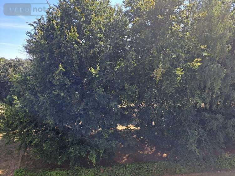 Appartement a vendre Lorient 56100 Morbihan 52 m2  151525 euros