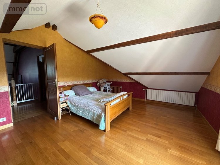 propriete a vendre Jouhe 39100 Jura 350 m2 13 pièces 397000 euros