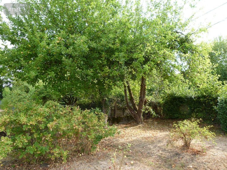 Maison a vendre Vijon 36160 Indre 84 m2 3 pièces 105000 euros