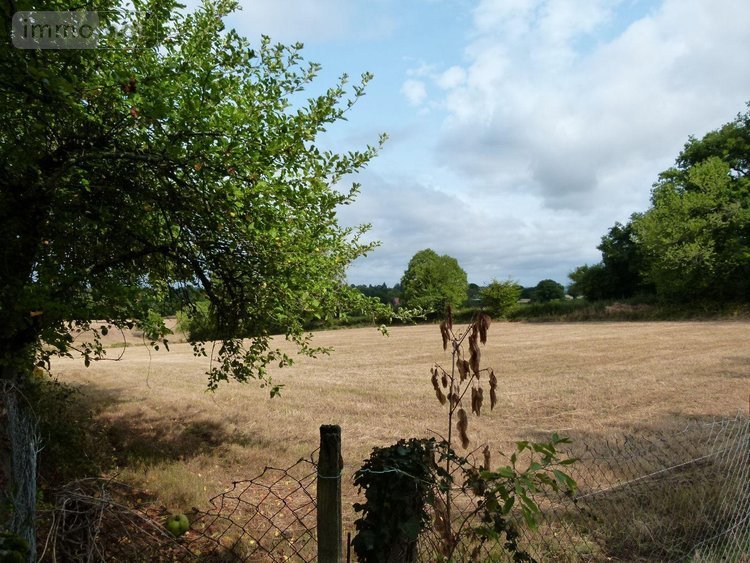 Maison a vendre Vijon 36160 Indre 84 m2 3 pièces 105000 euros