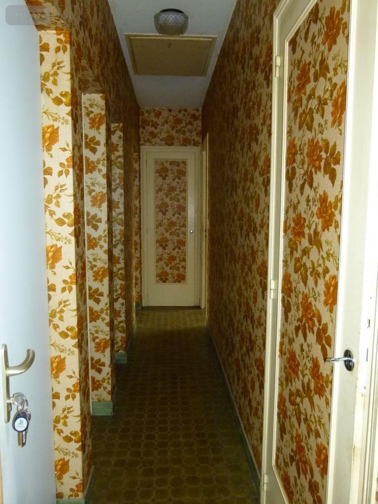 Maison a vendre Vijon 36160 Indre 84 m2 3 pièces 105000 euros