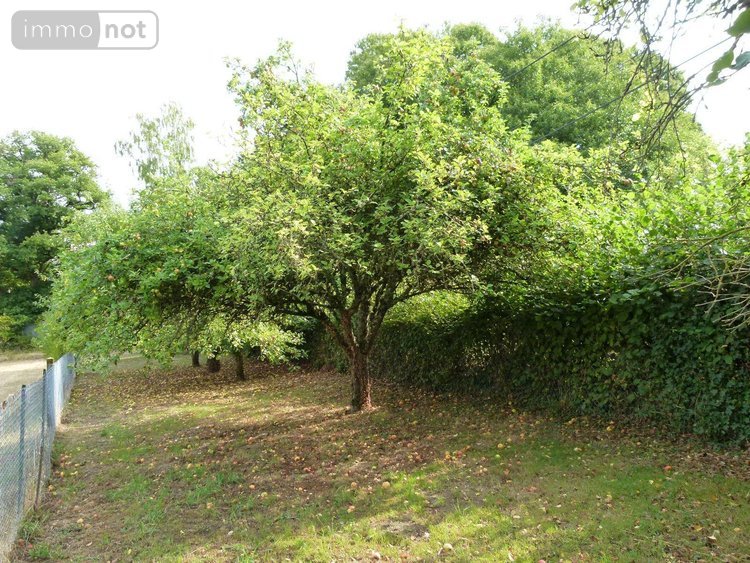 Maison a vendre Vijon 36160 Indre 84 m2 3 pièces 105000 euros