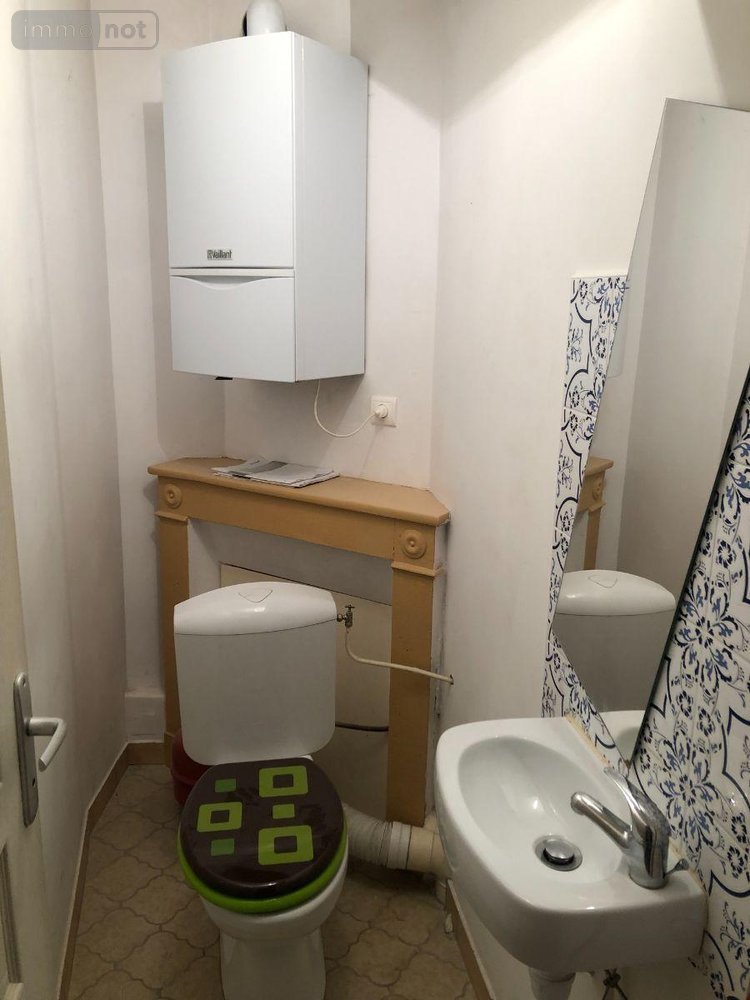 Location maison Issoudun 36100 Indre 49 m2 3 pièces 510 euros