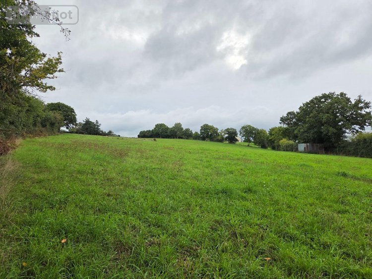 Bien agricole a vendre Averton 53700 Mayenne  10800 euros