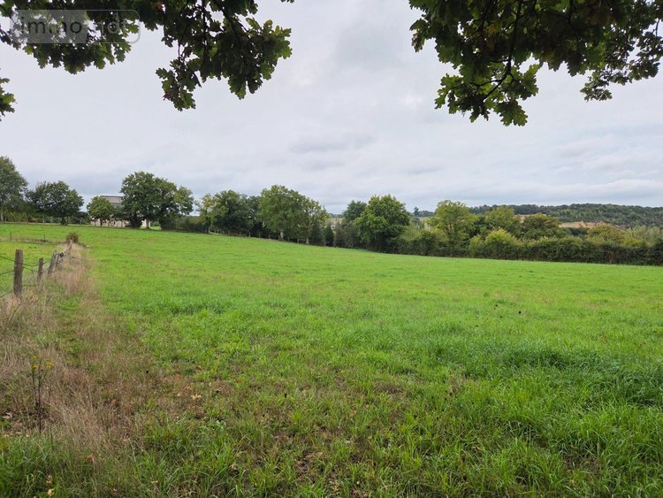 Bien agricole a vendre Averton 53700 Mayenne  10800 euros