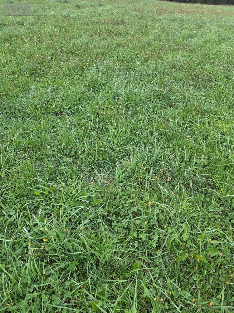 Bien agricole a vendre Averton 53700 Mayenne  10800 euros